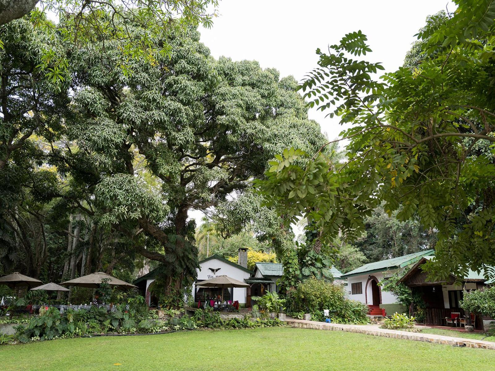 Mount Meru Game Lodge & Sanctuary 阿鲁沙 外观 照片